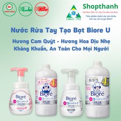 Nước Rửa Tay Tạo Bọt Biore Nội Địa Nhật Bản Kháng Khuẩn Hương Thơm Dịu Nhẹ, Bảo Vệ Sức Khỏe Gia Đình
