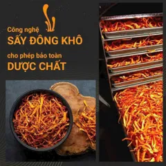 NẤM ĐÔNG TRÙNG HẠ THẢO NGUYÊN SỢI HÀN QUỐC 70G