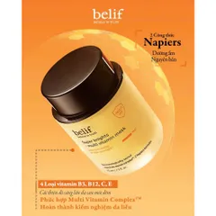 Mặt Nạ Ngủ Belif Super Knights Mask 75ml
