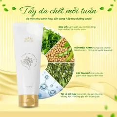 SỬA RỮA MẶT VÀ TẨY TẾ BÀO CHẾT QUEENBE
