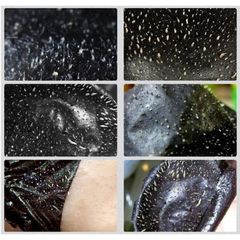 Gel lột Mụn Than Tre - Bamboo Charcoal  Sạch mụn - Thải độc chì- Sáng da 70g
