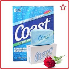 XÀ BÔNG CỤC COAST HÀNG MỸ 113g