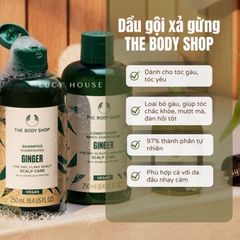 Dầu gội gừng giảm rụng tóc The Body Shop không chứa dầu silicon giúp giảm gàu 400ml