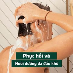 Chai lớn 400ml DẦU GỘI GỪNG TƯƠI giảm GÀU MƯỢT TÓC THE BODY SHOP Made in UK