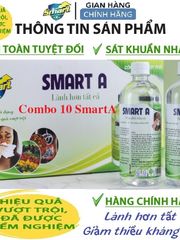 Thùng 10 Dung dịch sát khuẩn Smart A 500ml  Mẫu mới 2025 Shop Trọng Đức Smart