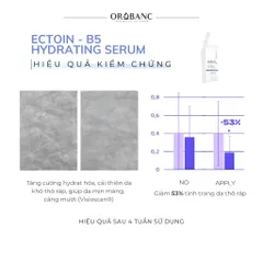 Combo Orobanc Trẻ Hoá Căng Mịn Mờ Nếp Nhăn - Ectoin B5 Serum 30ml - Phyto Retinol Cream 30gr