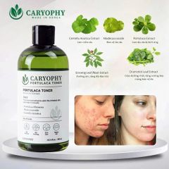 Nước Hoa Hồng Caryophy Chăm Sóc Da Dầu Mụn Portulaca Toner 300ml [hàng nhập khẩu]