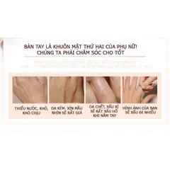 Combo 3 KEM DƯỠNG DA TAY 760141