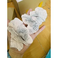 SÁP WAX LÔNG NÓNG  HARD WAX  BEANS SÁP HẠT ĐẬU 100g 760586