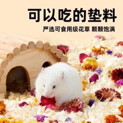 Hoa cỏ lót chuồng cho Hamster và thú nhỏ