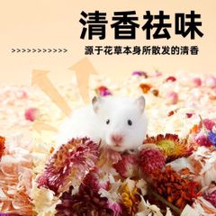 Hoa cỏ lót chuồng cho Hamster và thú nhỏ