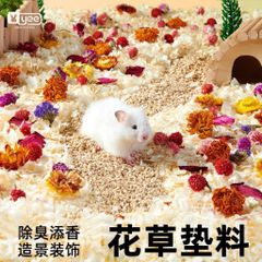 Hoa cỏ lót chuồng cho Hamster và thú nhỏ
