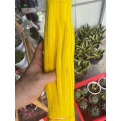 Kẽm nhung Dày Loại 1 bó 100 cọng đủ màu