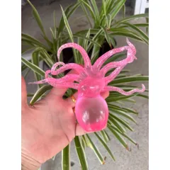Squishy hót tháng hè năm 2026