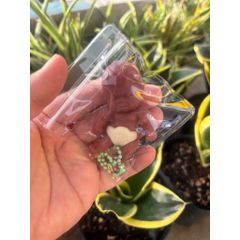 [Bán Sỉ 01 Vỉ] Móc Khoá Squishy mềm dẻo hình em bé mỹ siêu dễ thương