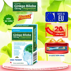 Viên uống bổ não Vitaday Ginkgo Biloba 120mg + Magnesium - Hỗ trợ trí nhớ và giảm căng thẳng - Hộp 30 viên nhập khẩu