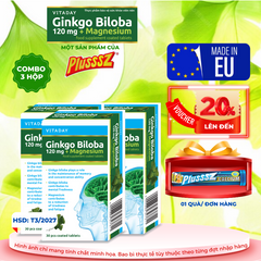 Viên Uống Bổ Não Vitaday Ginkgo Biloba 120mg + Magnesium - Hỗ Trợ Tăng Cường Trí Nhớ và Giảm Căng Thẳng (Combo 3 Hộp x 30 Viên)