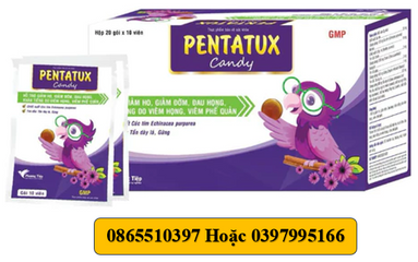 Viên ngậm Giảm Ho pentatux giảm Đau họng, khan tiếng (Hộp 20gói ×10 viên)