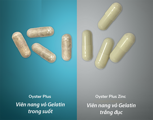 Tình Chất Hàu Goodhealth Oyster Plus 60 viên [Hàu Lùn] - Tăng Cường Sinh Lực & Hỗ Trợ Sức Khỏe cho Nam Giới - S/P Chuẩn New Zealand