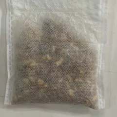 Túi đuổi chuột hương bạc hà làm chuột tránh xa nhập khẩu Singapore túi 30 gam