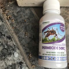 Thuốc diệt cuốn chiếu PERMECIDE 50 EC, diệt cả các loại côn trùng khác, sản phẩm Hợp Trí, chai 100ml