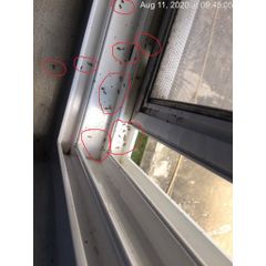 Thuốc diệt kiến ba khoang FENNACO 110SC, diệt cả các loài côn trùng khác, chai 1 lít