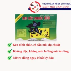 10 miếng keo dính chuột nhắt BIO có sẵn mồi dụ chuột, keo dính chắc, chuột đã vào thì không thể thoát