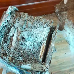 Hộp nhử mối, bên trong có chứa gỗ tẩm đường thu hút mối, dùng chung với thuốc diệt mối PMC90DP