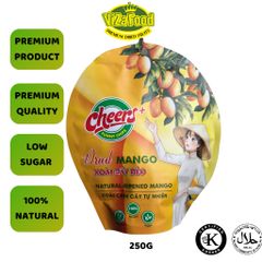 Original dried ripe mango, premium quality, gift, 250g bag - Viza Food