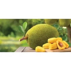 Special dried jackfruit, less sticky to teeth, No sugar, crispy, 200G package - Viza Food
