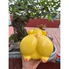 HEO BAY MÔNG CONG, HEO ĐẤT TIẾT KIỆM