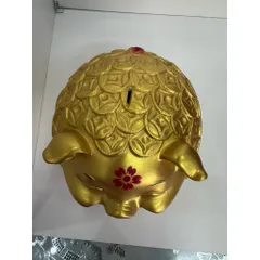Heo đất nhím xu size to