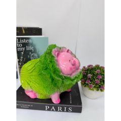 Heo đất bắp cải lỗ tròn siêu cute
