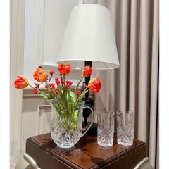 BÌNH ĐỰNG NƯỚC PHA LÊ GODINGER DUBLIN SHANNON