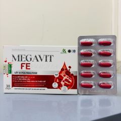 Viên Bổ Máu MEGAVIT FE - Sắt Hữu Cơ Kết Hợp Acid Folic Và Inulin, Hỗ Trợ Tạo Máu, Giảm Mệt Mỏi, Không Gây Nóng