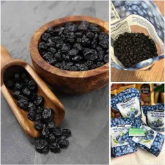 [ HỎA TỐC] Việt Quất sấy khô Kirkland Signature 567g - Whole Dried Blueberries