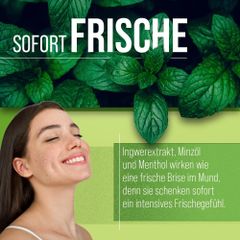 Viên nhai thơm miệng Sanct Bernhard Atemfrisch Kapseln 170 viên [Đức]