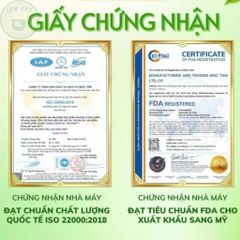 combo 4 hộp trà kim tiền thảo râu mèo