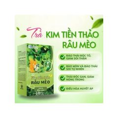 combo 4 hộp trà kim tiền thảo râu mèo