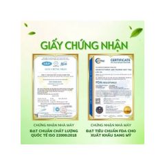 combo 4 hộp trà kim tiền thảo râu mèo