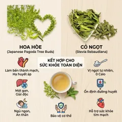 Trà Hoa Hòe Cỏ Ngọt Túi Lọc - Combo World Cup Mua 2 Tặng 1 - Giải Nhiệt, Bền Thành Mạch, Ngủ Ngon Sâu Giấc