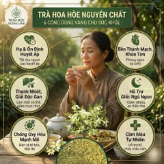 Trà Hoa Hòe Cỏ Ngọt Túi Lọc - Combo World Cup Mua 2 Tặng 1 - Giải Nhiệt, Bền Thành Mạch, Ngủ Ngon Sâu Giấc