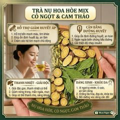 Trà Hoa Hòe Cam Thảo Túi Lọc Cao Cấp Hỗ Trợ Thanh Nhiệt, Ngủ Ngon [Hộp 30 Gói]