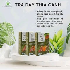 comb 2 hộp trà dây thìa canh