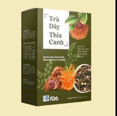combo 3 hộp trà dây thìa canh 