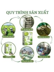 combo 3 hộp tra phan tả diệp 