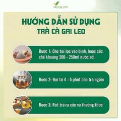 combo 2 trà túi lọc cà gai leo 