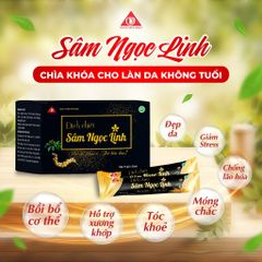 ✅[CHÍNH HÃNG, CHO KIỂM HÀNG] Dịch chiết Sâm Ngọc Linh