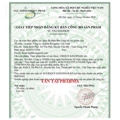 ✅[CHÍNH HÃNG, CHO KIỂM HÀNG] Viên URIQUE KINGPHAR - Giúp giảm acid uric trong máu , giảm viêm khớp do gout - 40 viên 764875