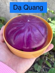 [Đại sỉ Squishy] đồ chơi nhựa silicon mềm dẻo - Bánh bao dạ quang size to